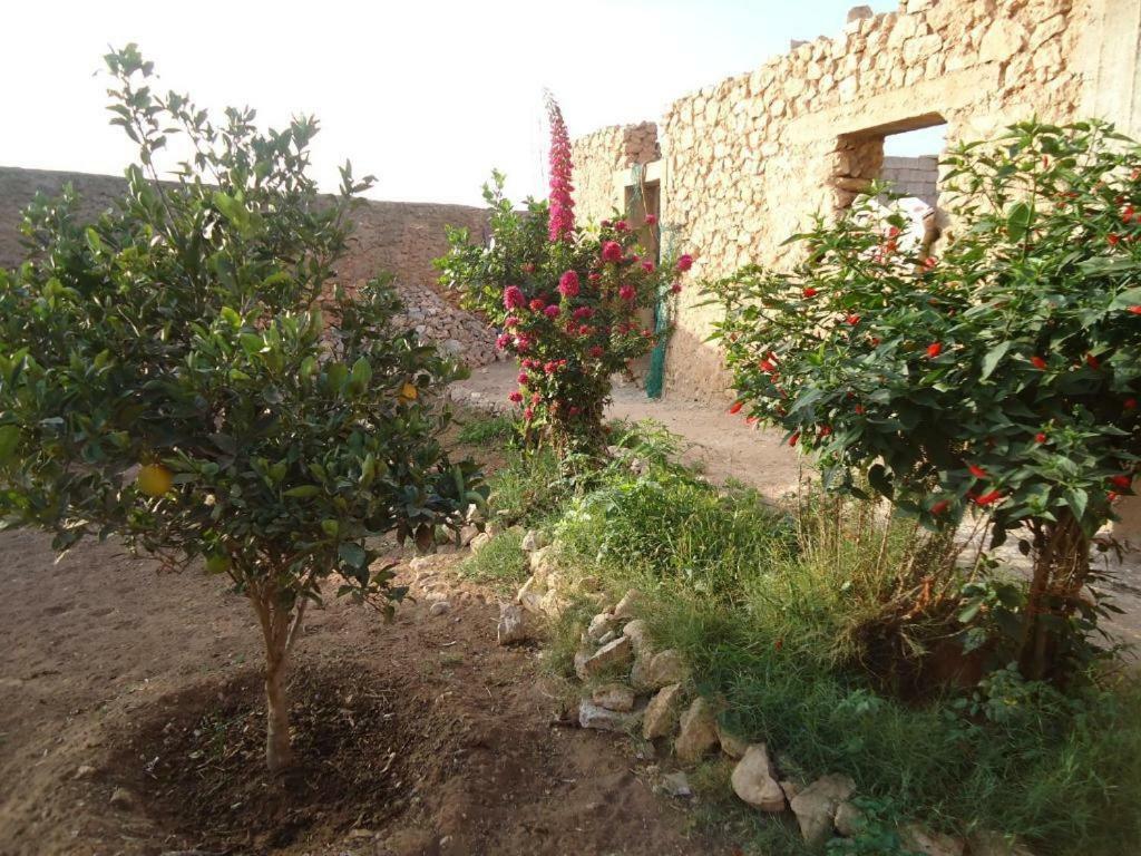 דירות Takkat Takad Dream Rural מראה חיצוני תמונה